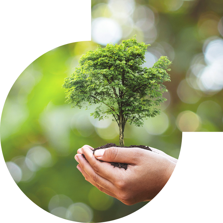 關懷人類、文化、環境與社會