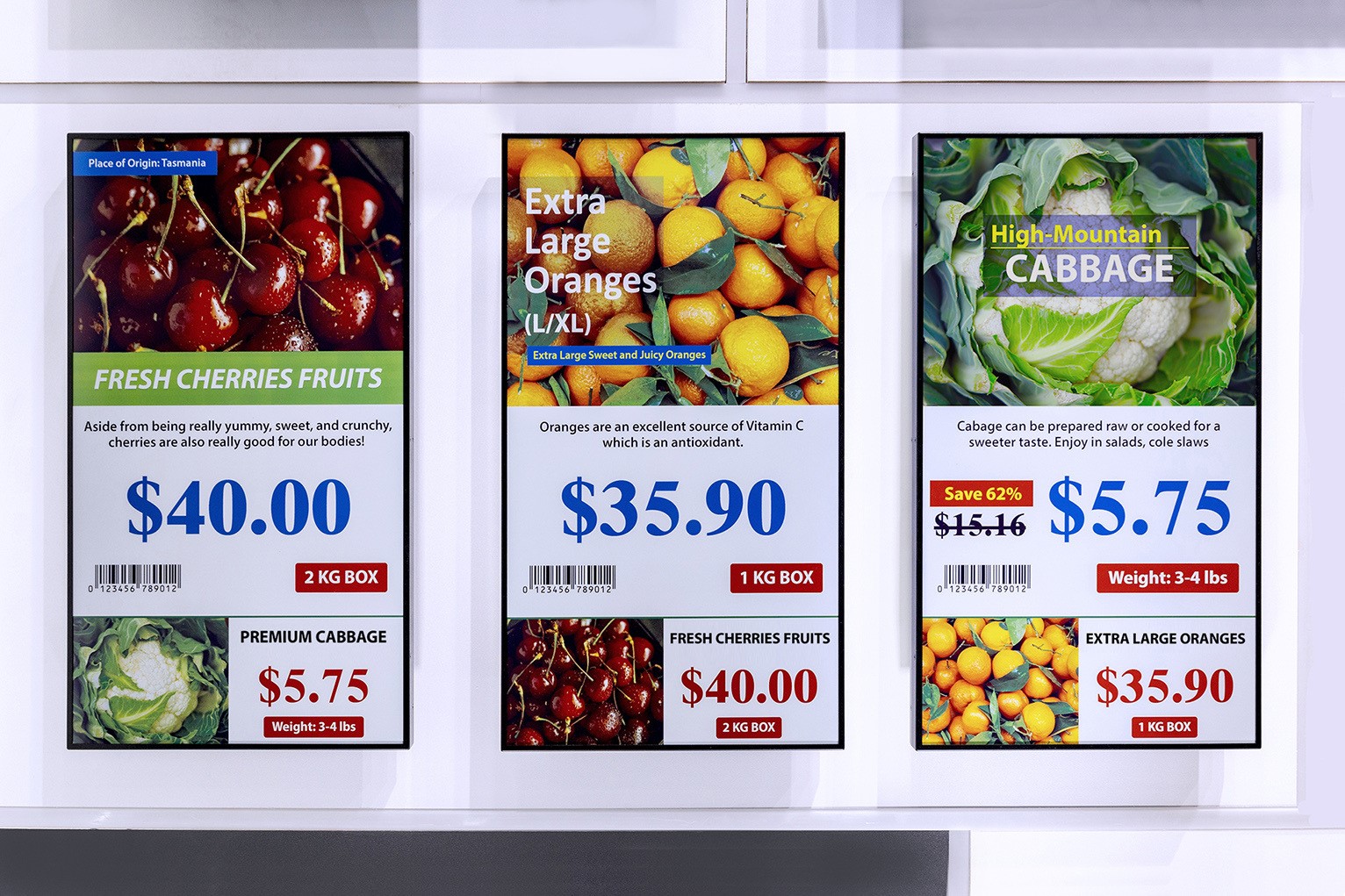 AUO Display Plus and E Ink propose to establish a joint venture company for building large-sized EPD Module production lines, accelerating the growth of low-carbon smart display